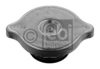 VW 321121321E Cap, radiator